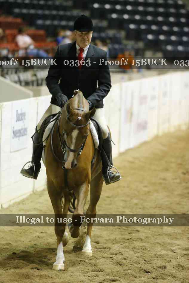 Proof 15BUCK_03363