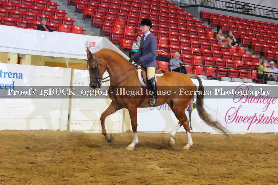 Proof 15BUCK_03364
