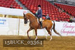 15BUCK_03364 proof