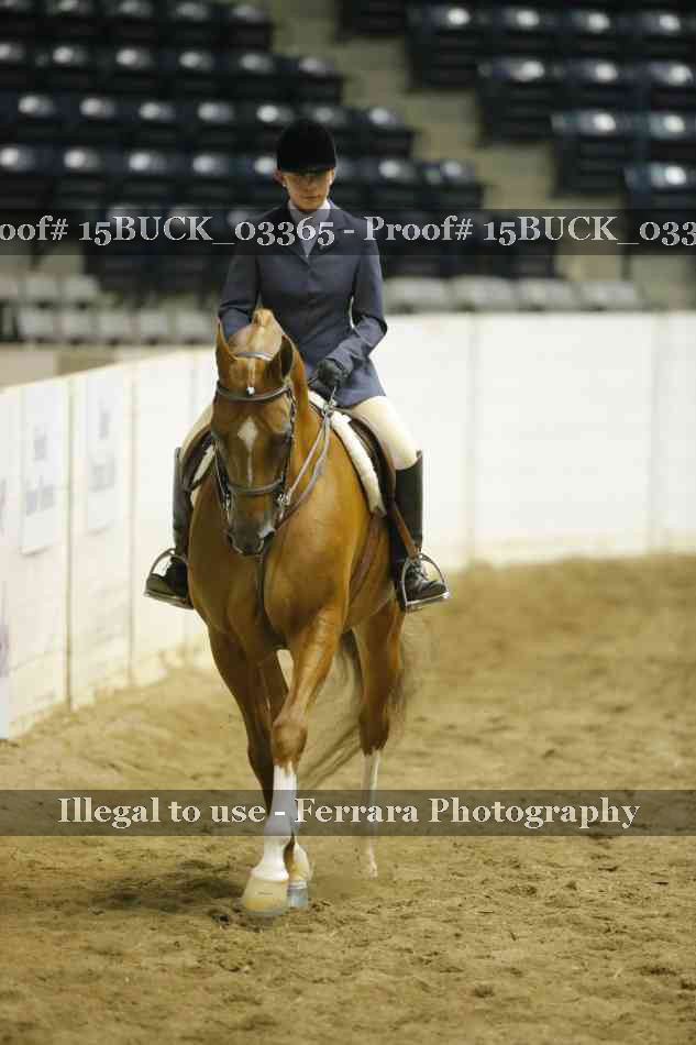 Proof 15BUCK_03365