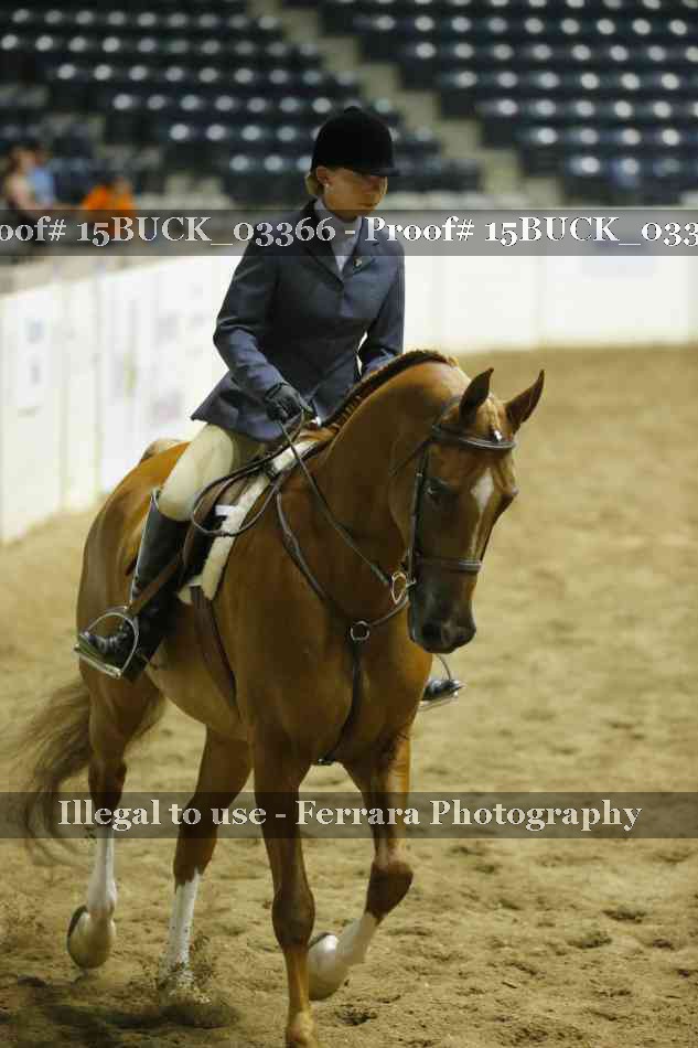 Proof 15BUCK_03366