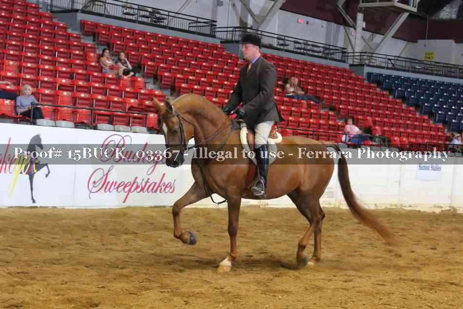 Proof 15BUCK_03367