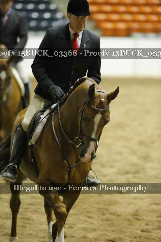 Proof 15BUCK_03368