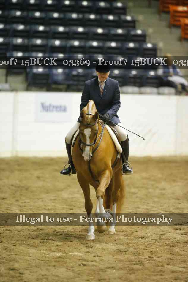 Proof 15BUCK_03369
