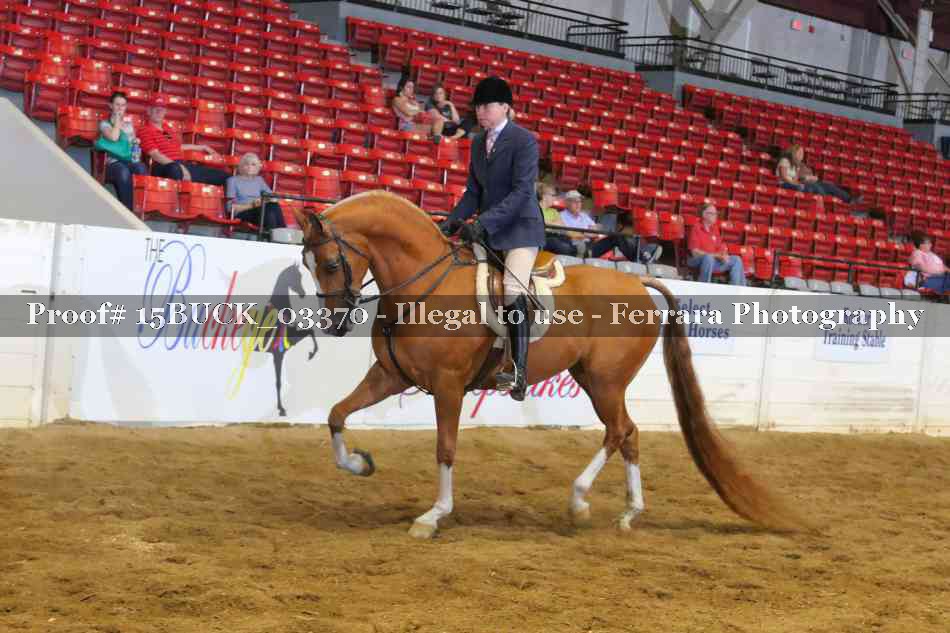 Proof 15BUCK_03370