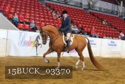 15BUCK_03370 proof