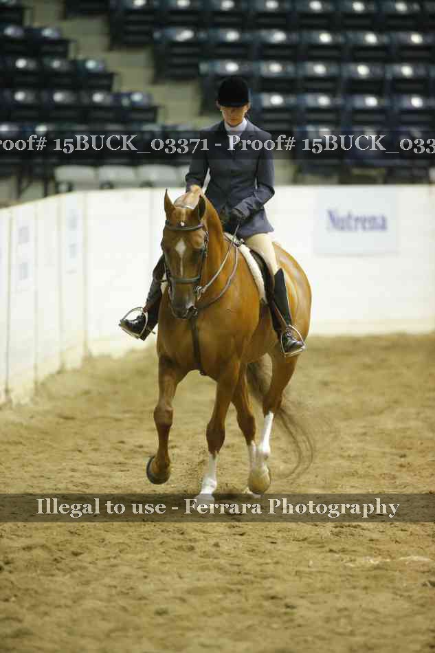 Proof 15BUCK_03371