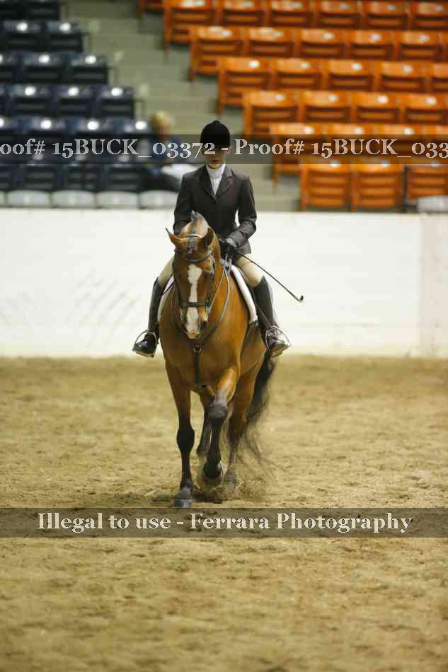 Proof 15BUCK_03372