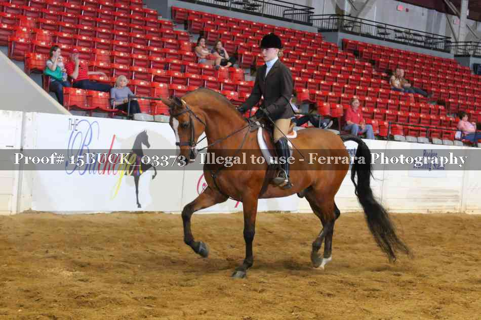 Proof 15BUCK_03373