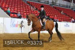 15BUCK_03373 proof