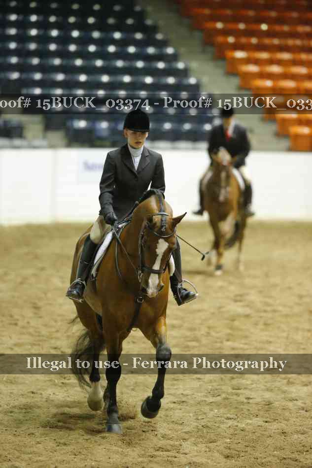 Proof 15BUCK_03374