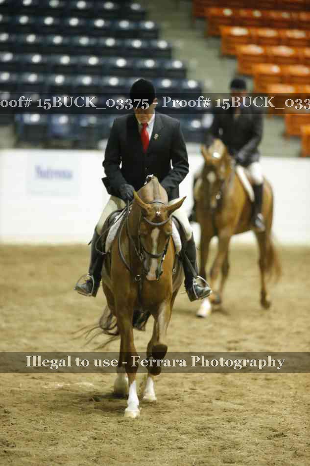 Proof 15BUCK_03375