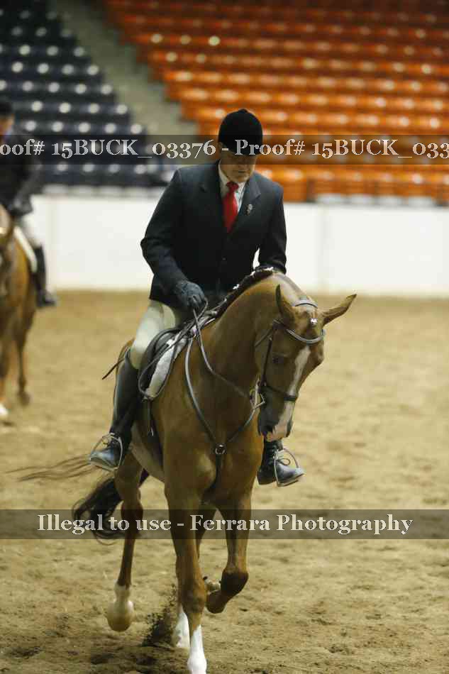 Proof 15BUCK_03376