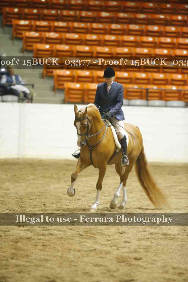Proof 15BUCK_03377