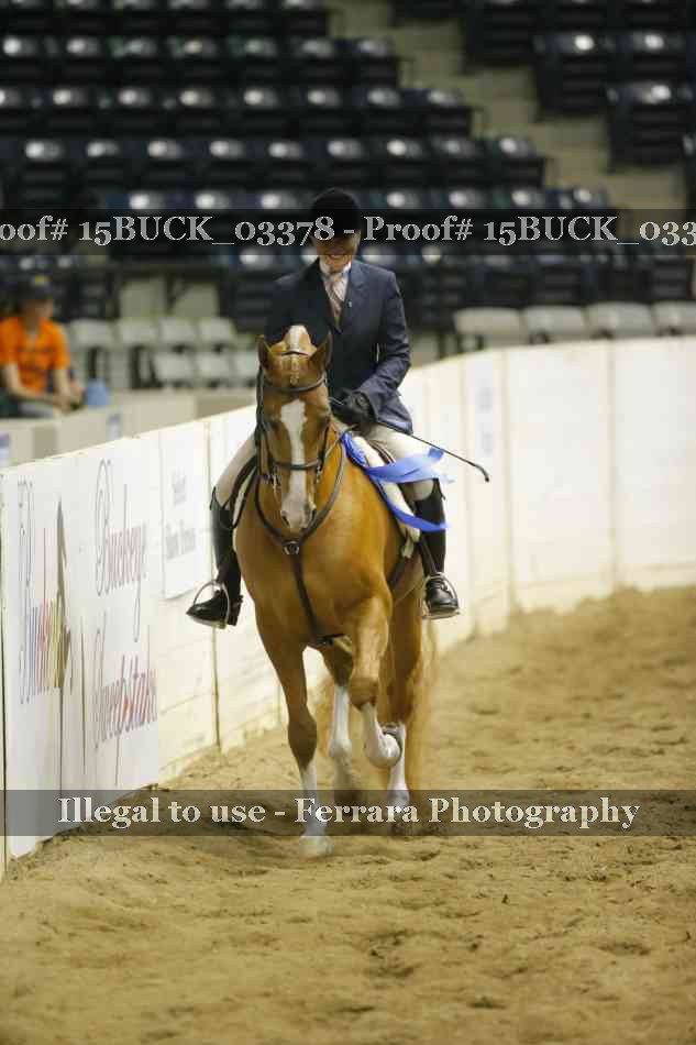 Proof 15BUCK_03378