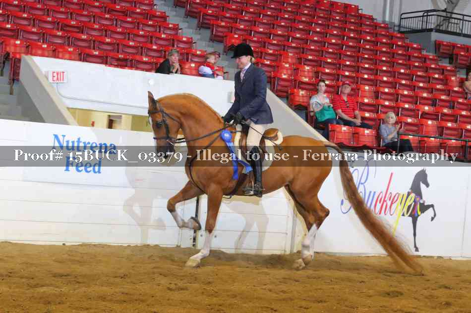 Proof 15BUCK_03379