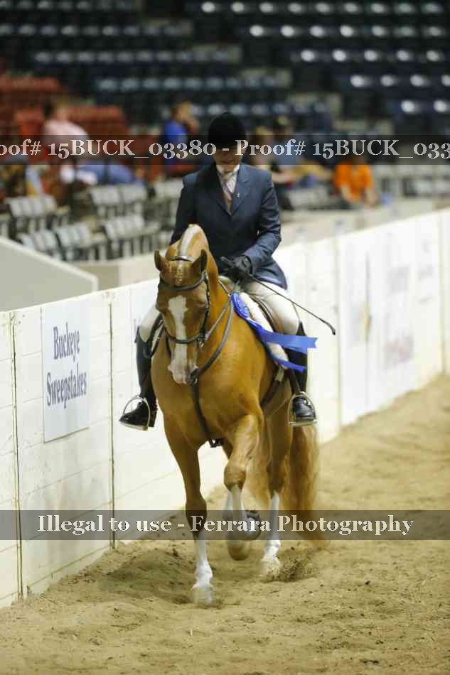Proof 15BUCK_03380
