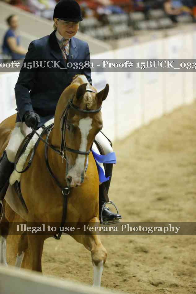 Proof 15BUCK_03381