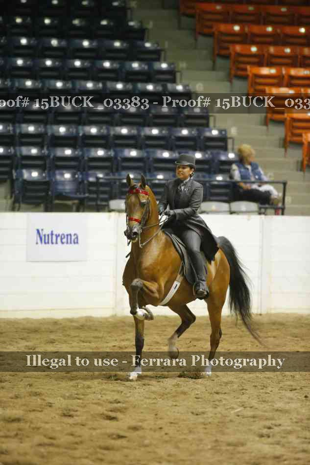 Proof 15BUCK_03383