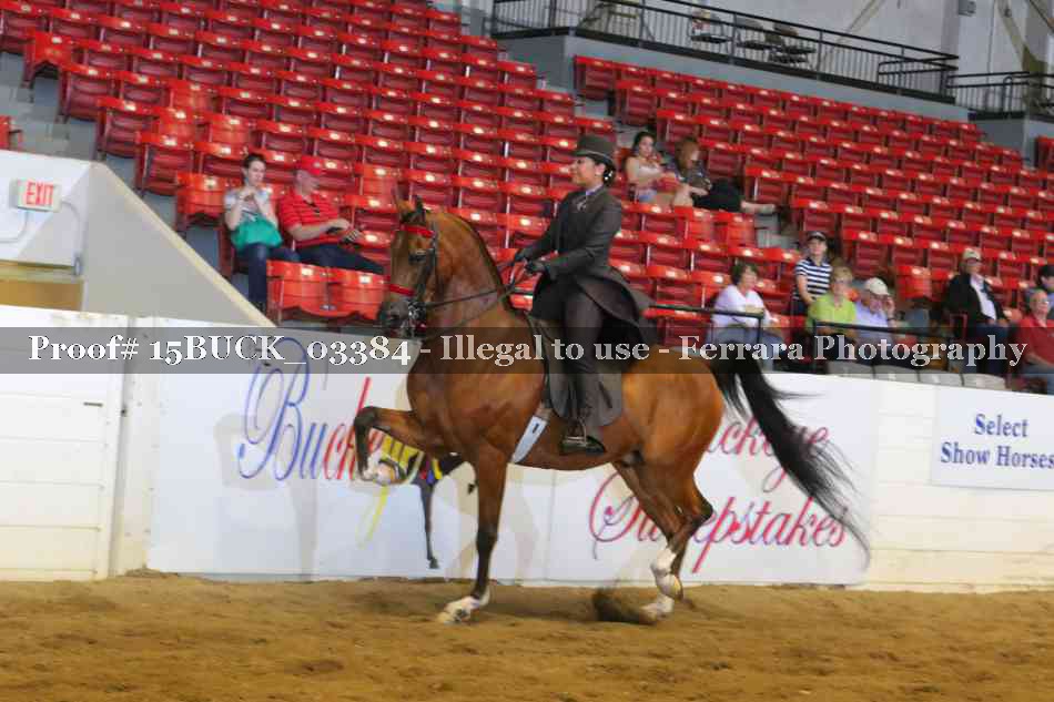 Proof 15BUCK_03384