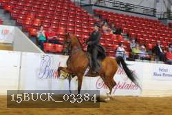 15BUCK_03384 proof