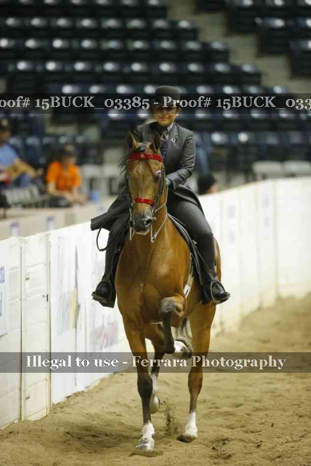 Proof 15BUCK_03385
