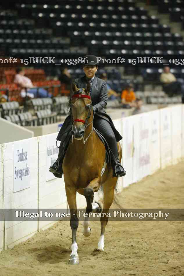 Proof 15BUCK_03386