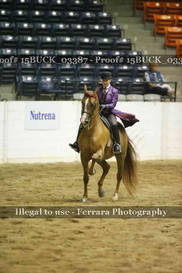 Proof 15BUCK_03387
