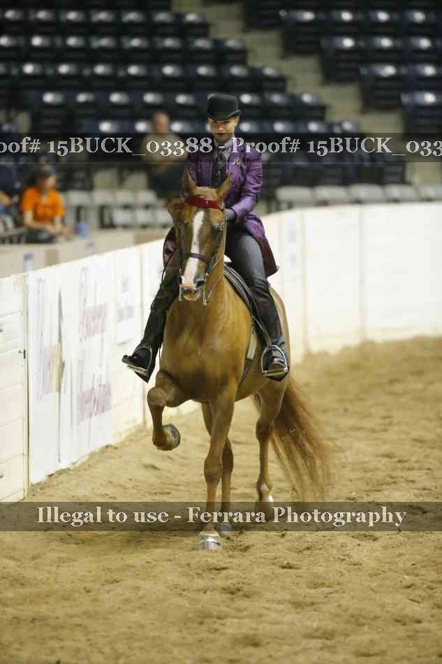 Proof 15BUCK_03388