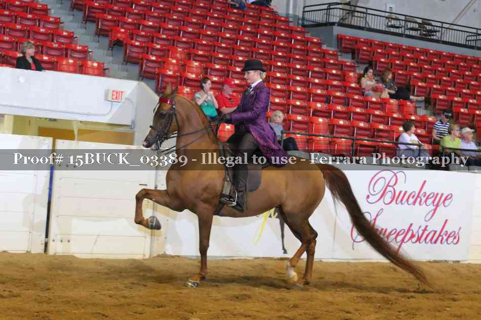 Proof 15BUCK_03389