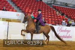 15BUCK_03389 proof