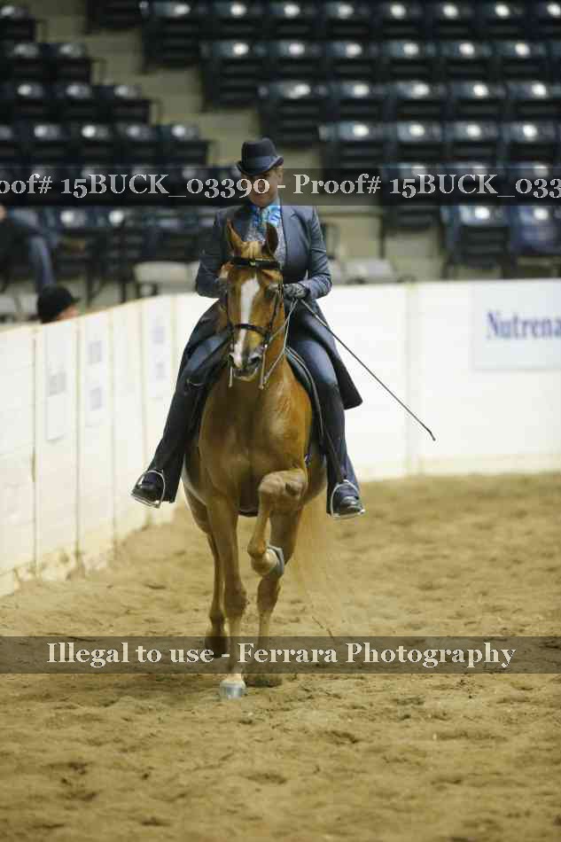 Proof 15BUCK_03390