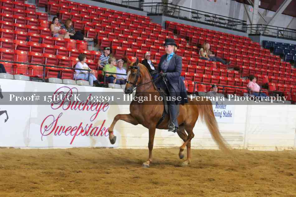 Proof 15BUCK_03391