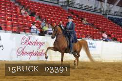 15BUCK_03391 proof