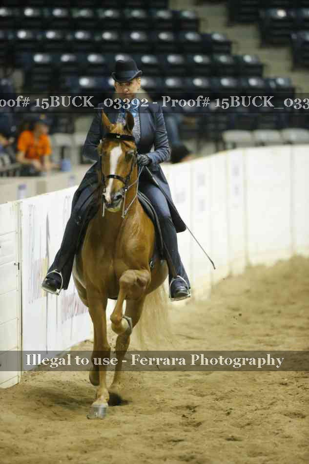 Proof 15BUCK_03392