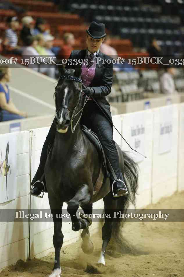 Proof 15BUCK_03393