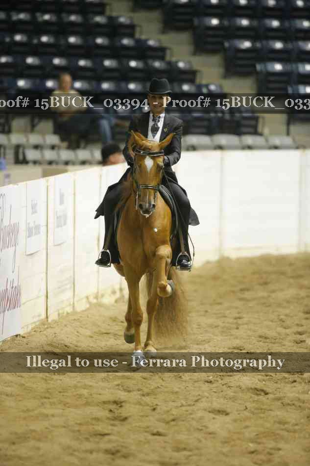 Proof 15BUCK_03394