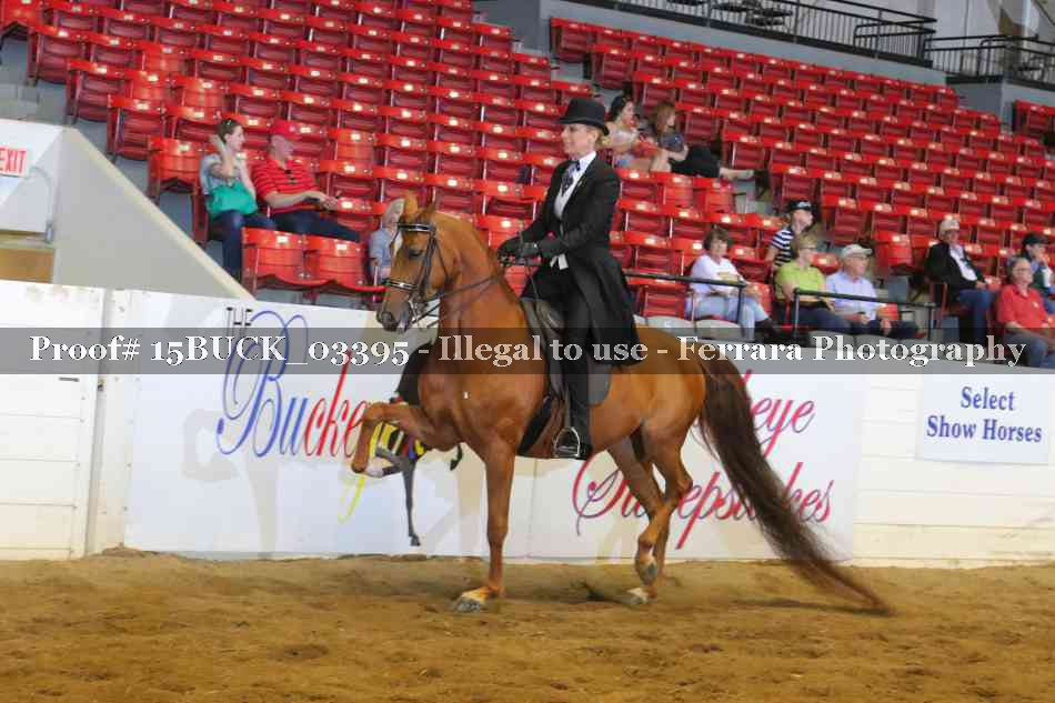 Proof 15BUCK_03395