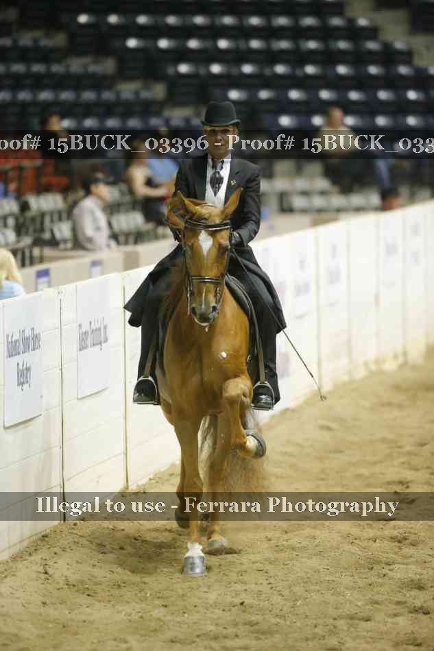 Proof 15BUCK_03396