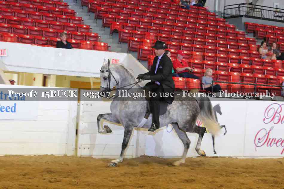 Proof 15BUCK_03397