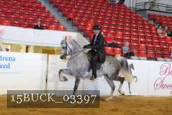 15BUCK_03397 proof