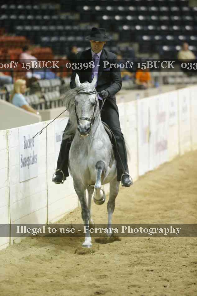 Proof 15BUCK_03398