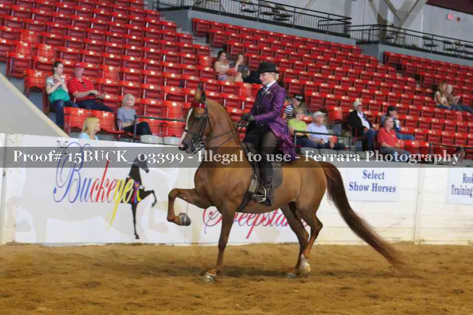 Proof 15BUCK_03399