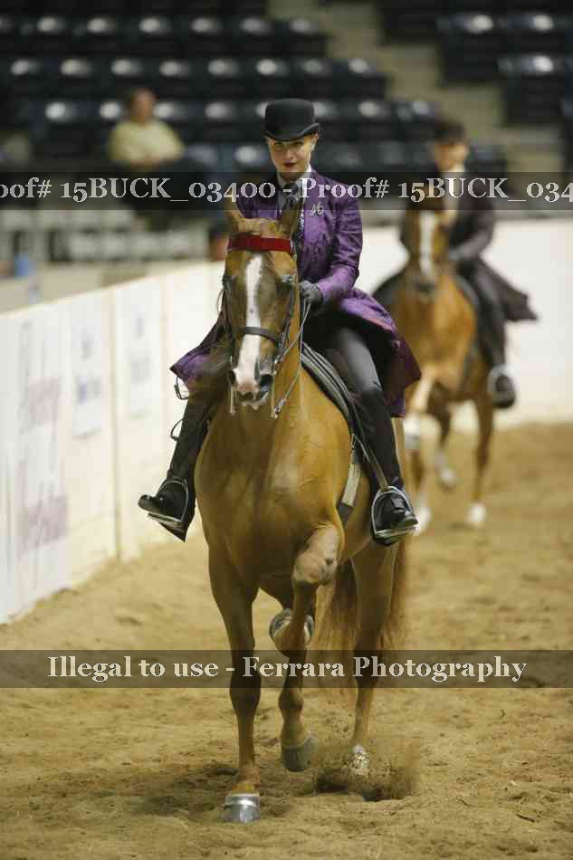 Proof 15BUCK_03400