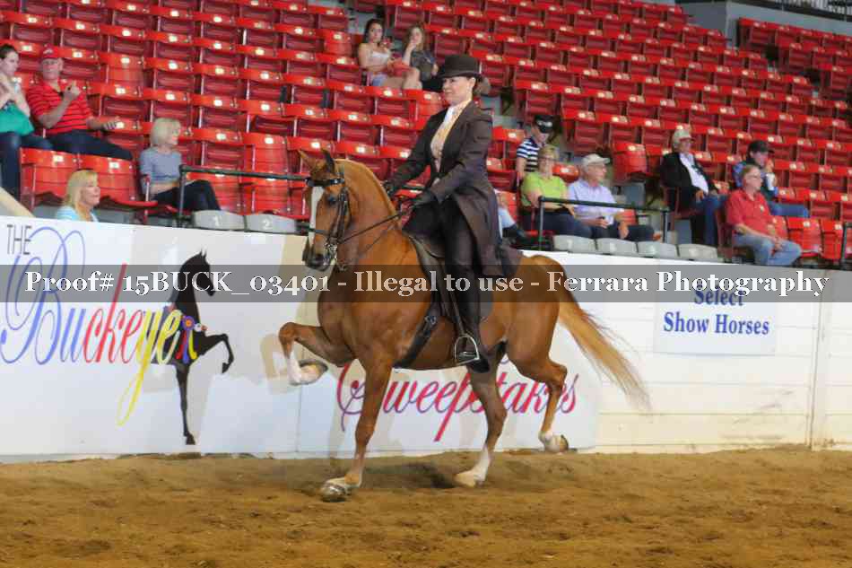 Proof 15BUCK_03401