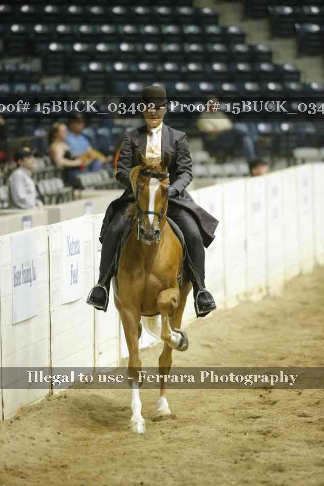 Proof 15BUCK_03402