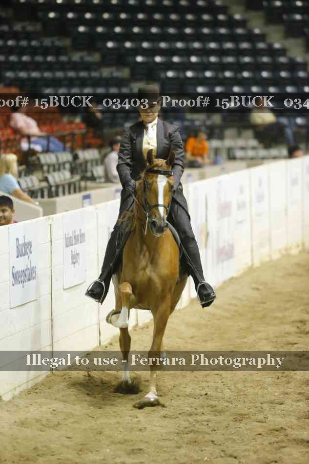 Proof 15BUCK_03403