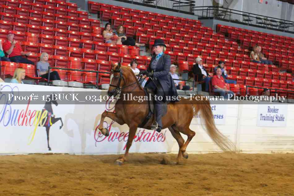 Proof 15BUCK_03404