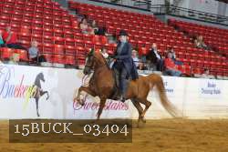 15BUCK_03404 proof