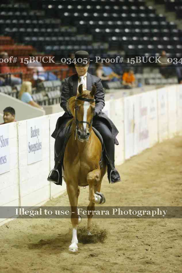 Proof 15BUCK_03405